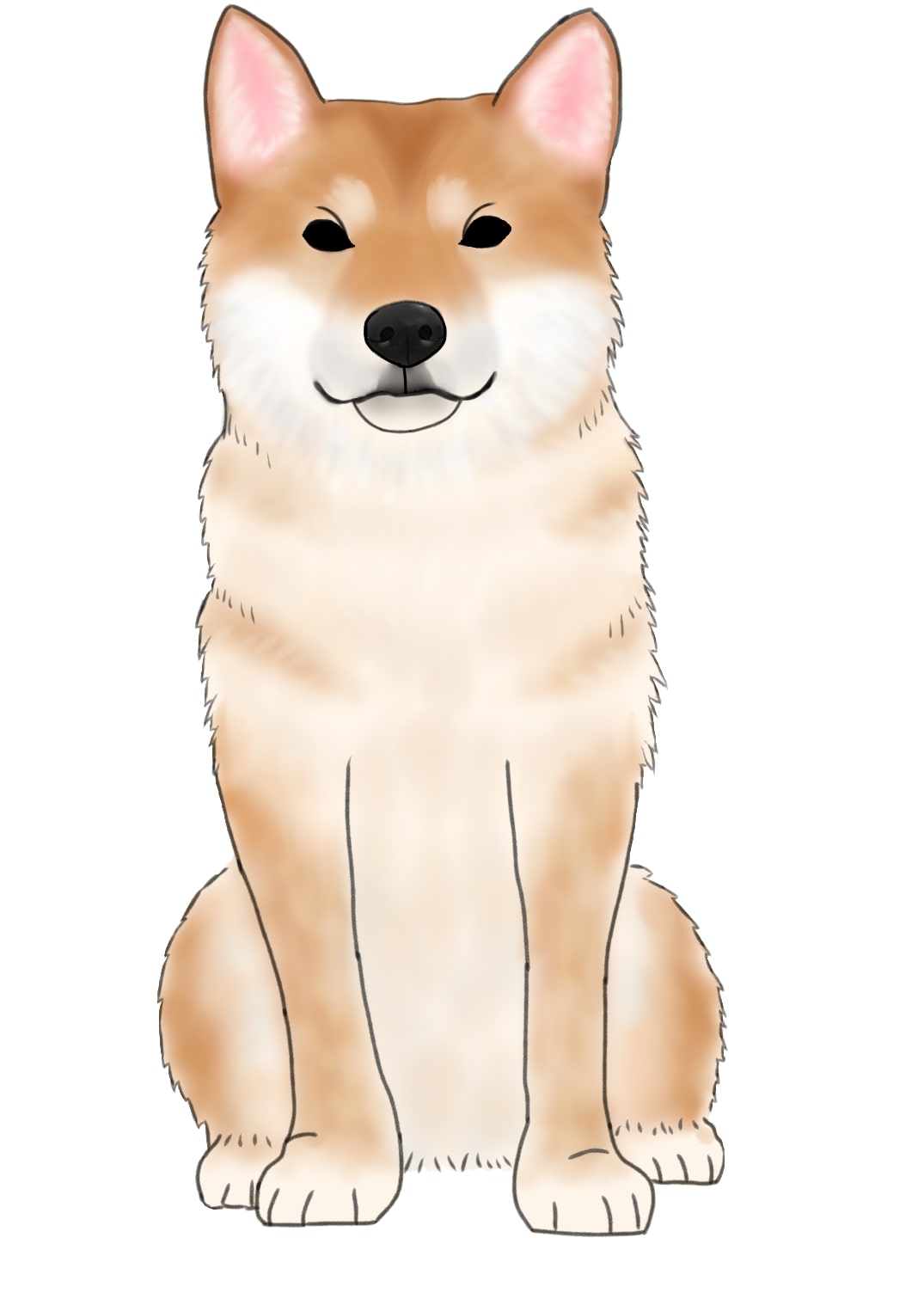 柴犬